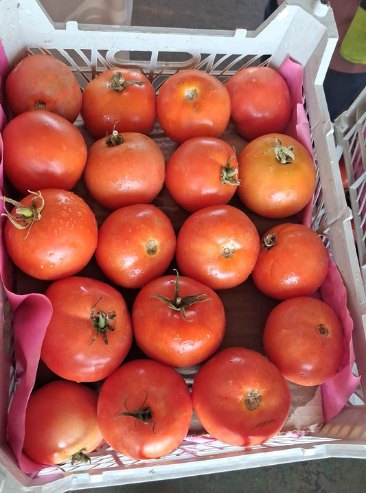 (Grade B) Tomato Box طماطم كرتون درجة ٢
