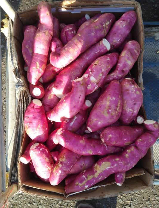 (Sweet Potato)Oman 1kg فندال عماني