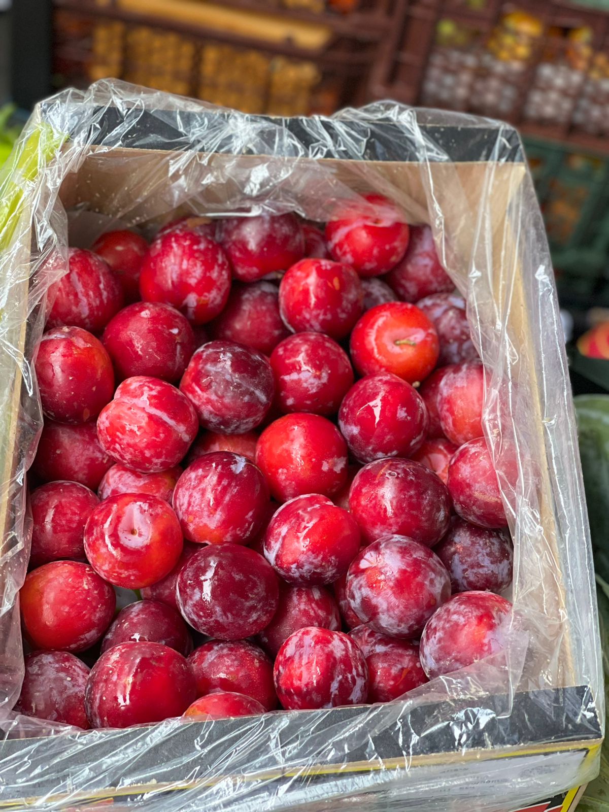 Red Plum/1kg  برقوق احمر