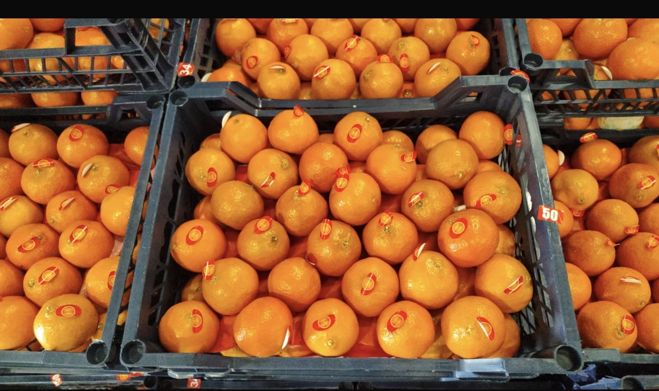 Mandarin Egypt box  سنتره مصرية كرتون