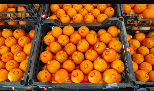 Mandarin Egypt box  سنتره مصرية كرتون