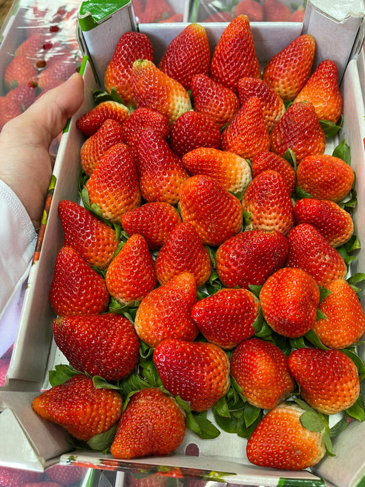 ((Strawberry))Tunisia box فراولة تونسية