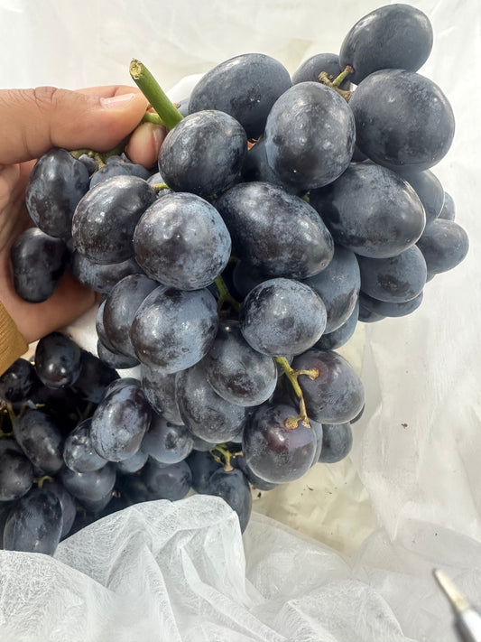Grape Black/ India pct  عنب اسود هندي بكت