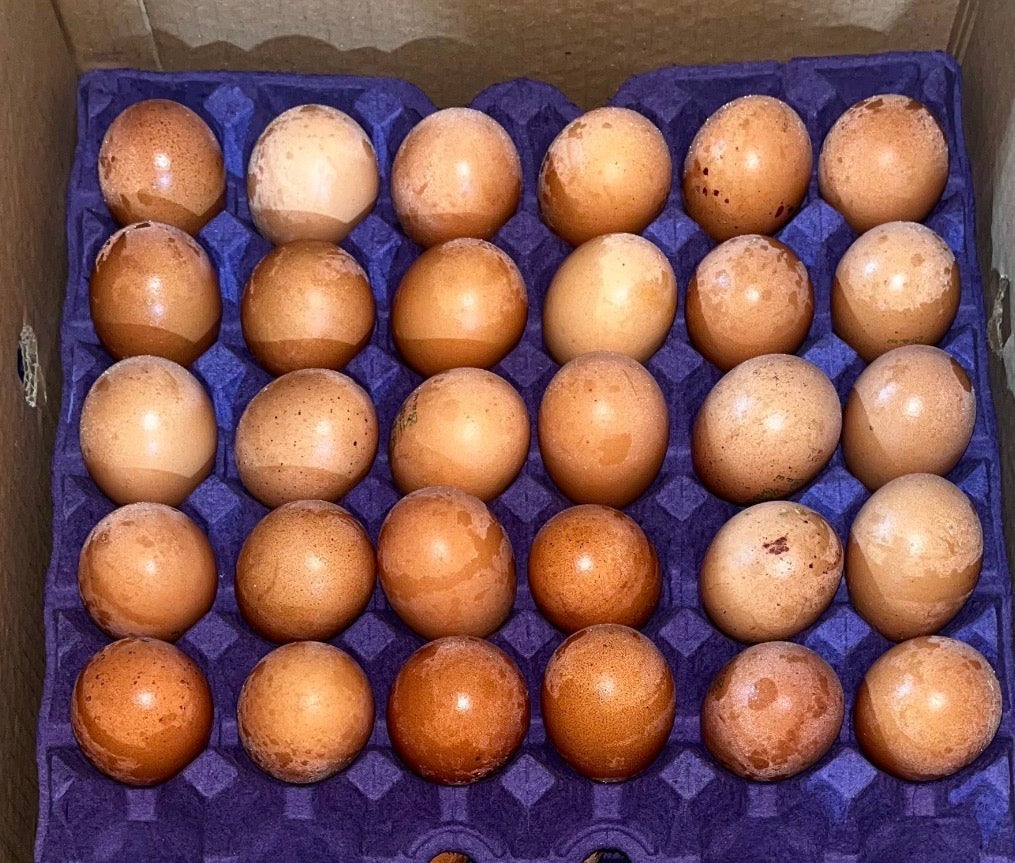 Eggs Al Dana brown (1*30) بيض بني الدانة