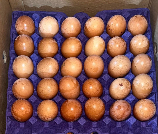 Eggs Al Dana brown (1*30) بيض بني الدانة