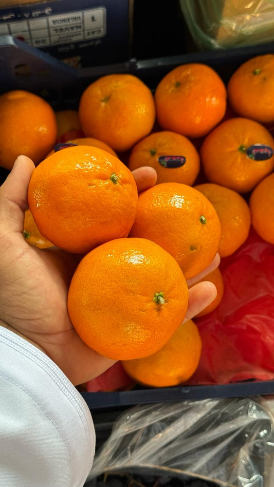 Mandarin Egypt 0.5kg سنتره مصرية