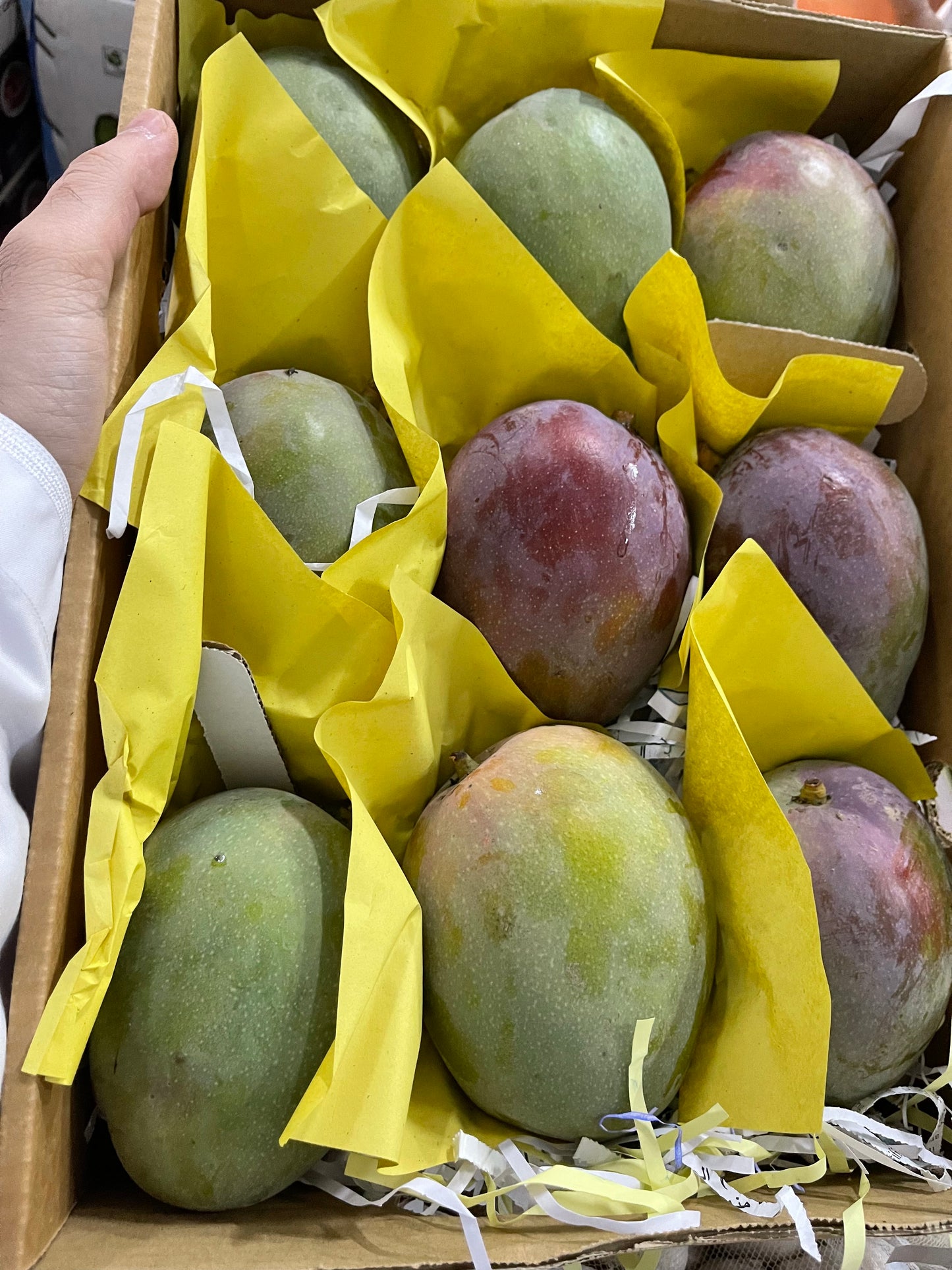(Mango)Kalbatoor Box مانجو قلب الثور كرتون⁩