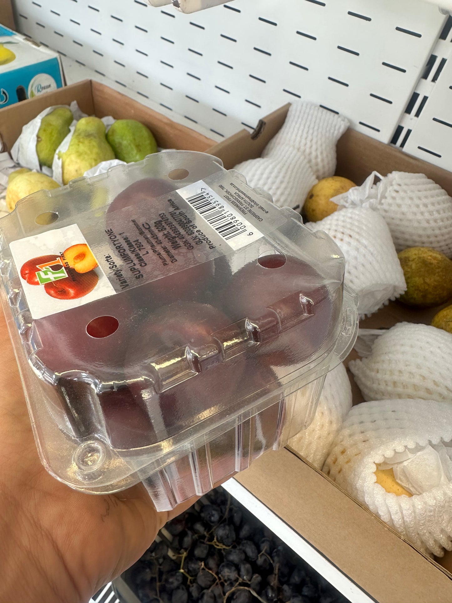Red Plums  /برقوق احمر بكت