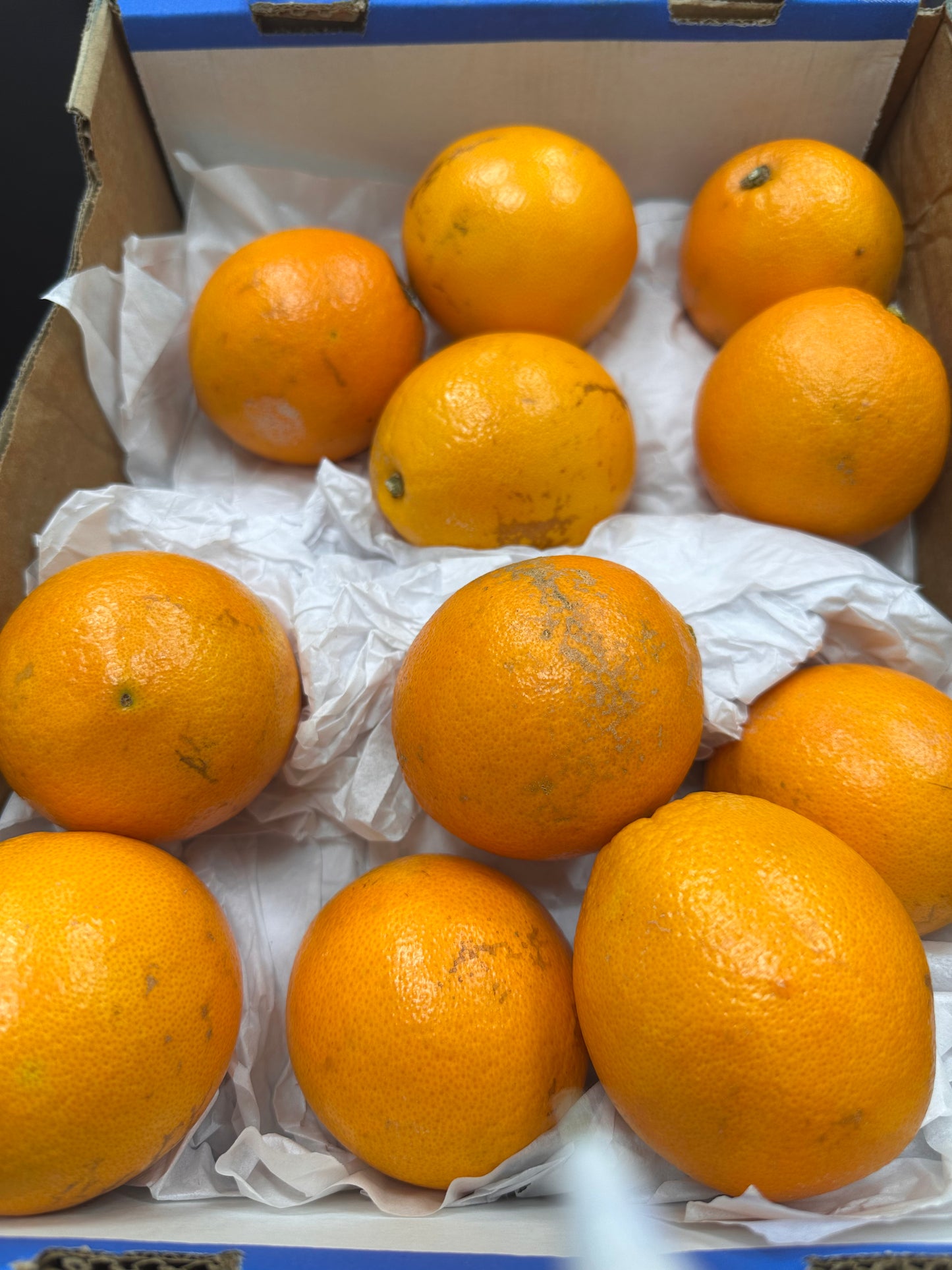 Orange Abu Sura/Africa Box 0.5kg برتقال أبوصرة/أفريقي