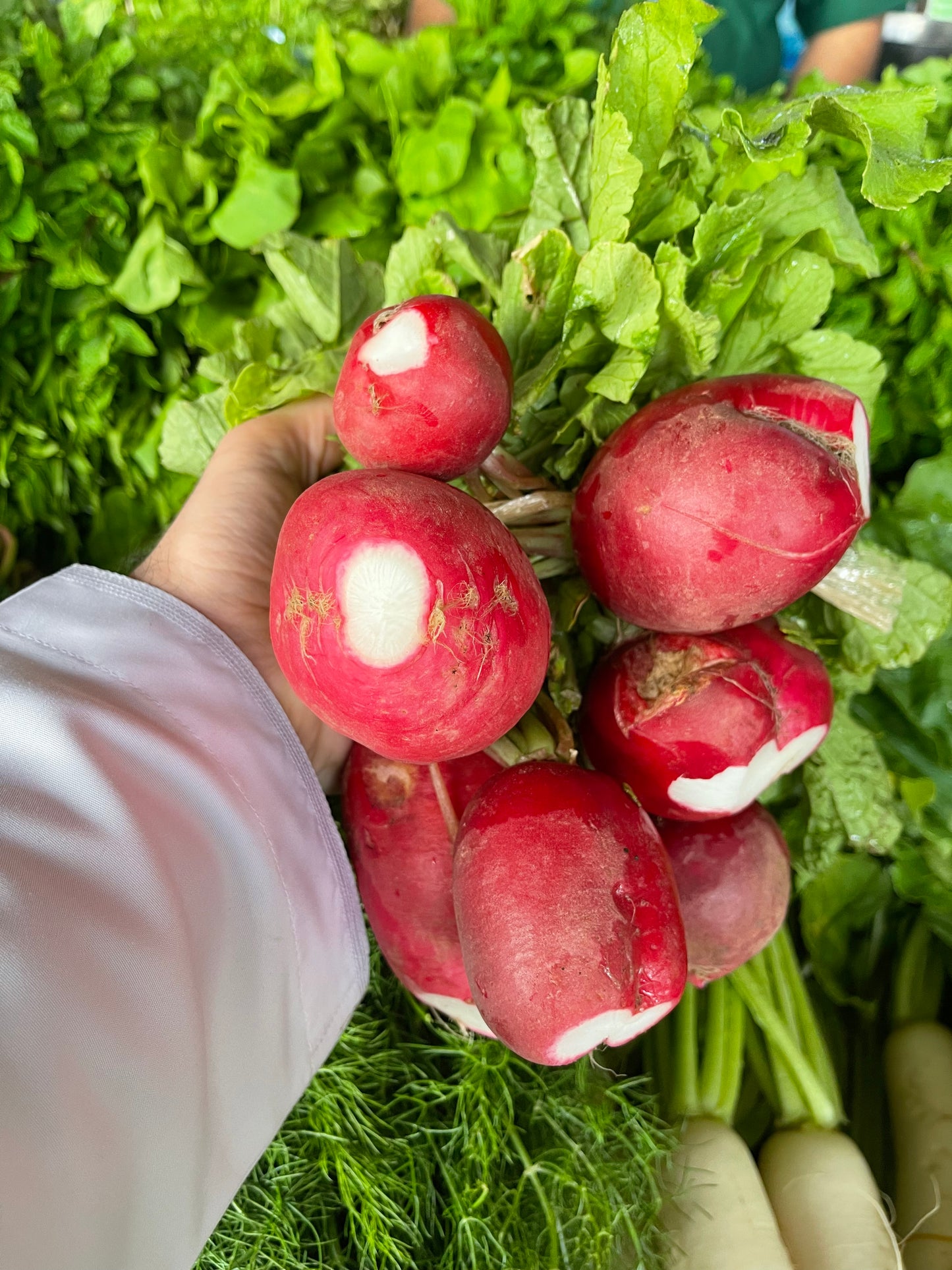 Leaves (Red Radish) 100gr فجل أحمر