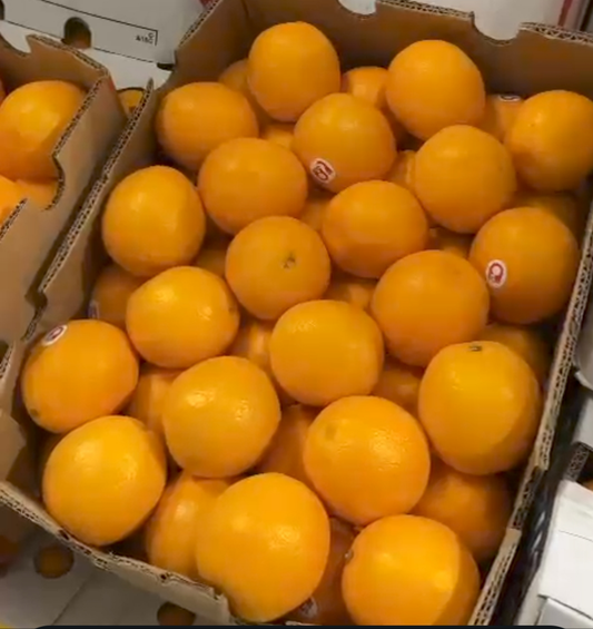 Orange Abu Sura  6-7KG كرتون برتقال ابو صرة