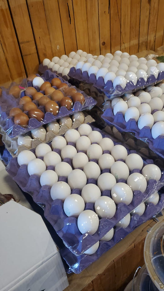 Eggs Al Dana xl (1*30)Pc بيض الدانه