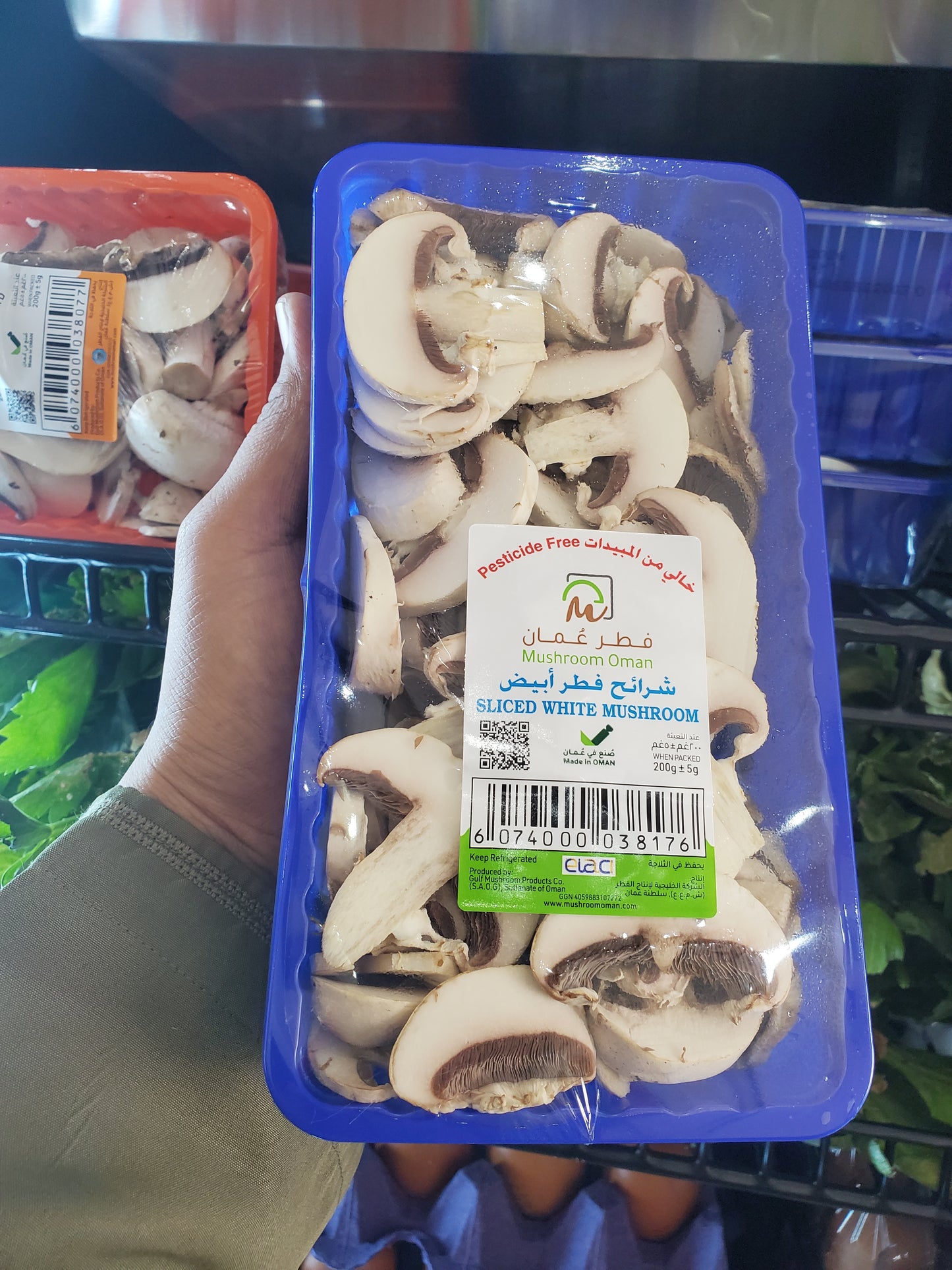 Mushroom Slice white مشروم ابيض شرائح