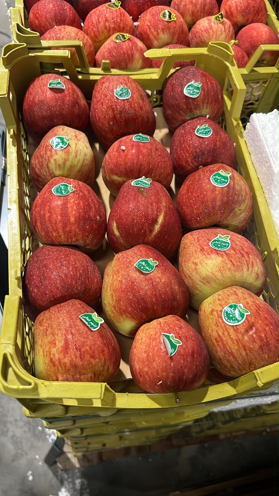 Apple/red Iran 6kg تفاح احمر ايراني