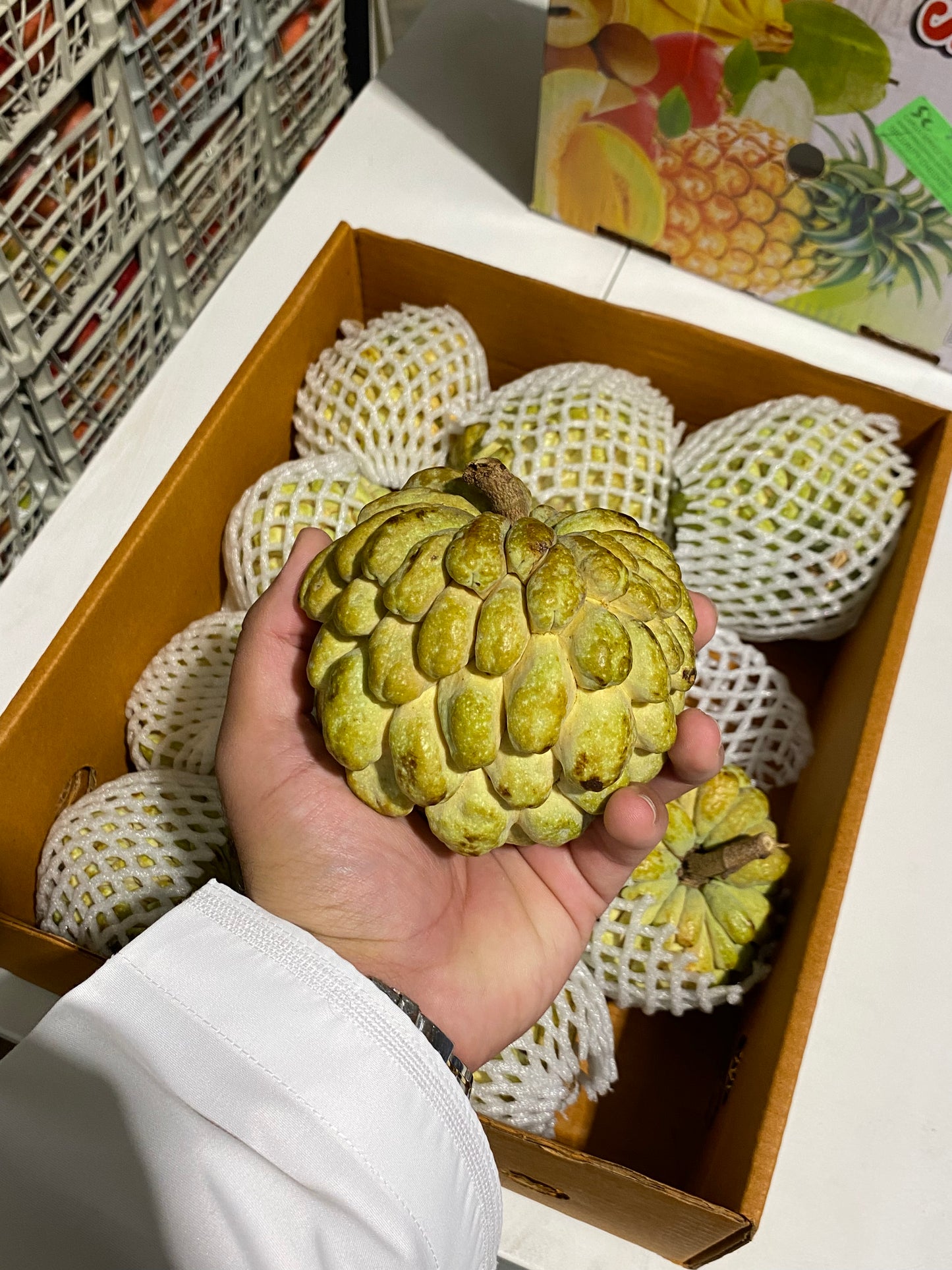 Sugar Apple 1pic  مستعفل 1حبة