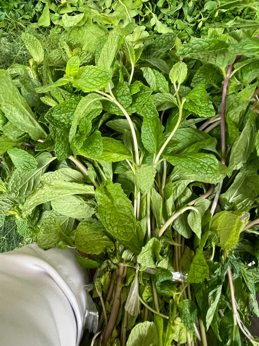 Leaves (Mint) Oman 1kg نعناع عماني