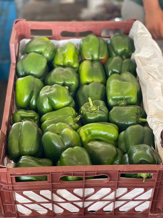 Bell Pepper 7.5kg فلفل رومي اخضر