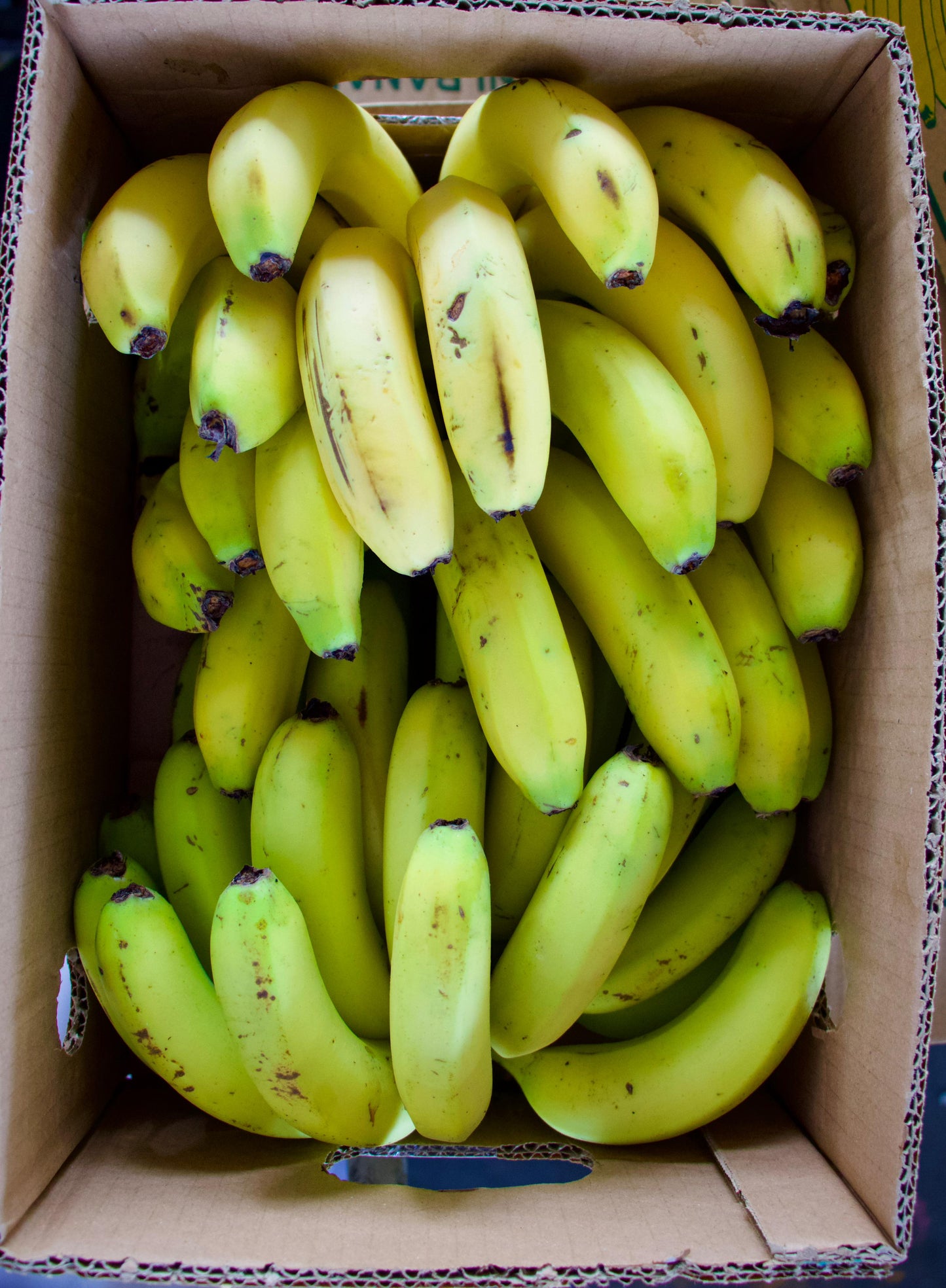 Banana/ Oman Box 4.5kg موز عماني كرتون