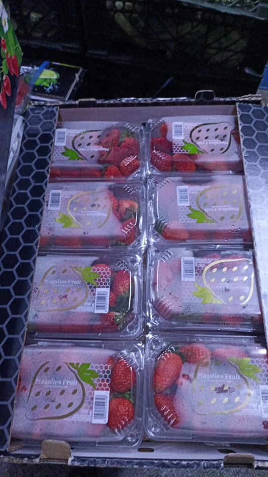 ((Strawberry))South Africa BOX فراولة جنوب افريقيا