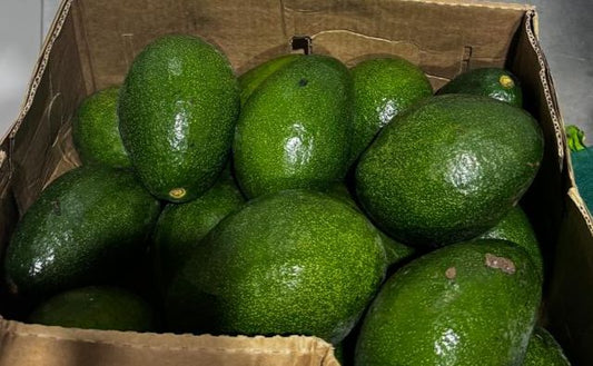 Avocado 0.5kg افوكادو