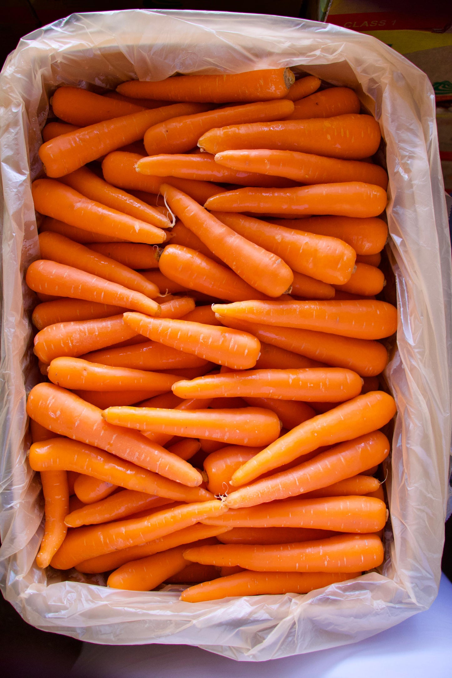 Carrot China 4kg جزر/ الصين