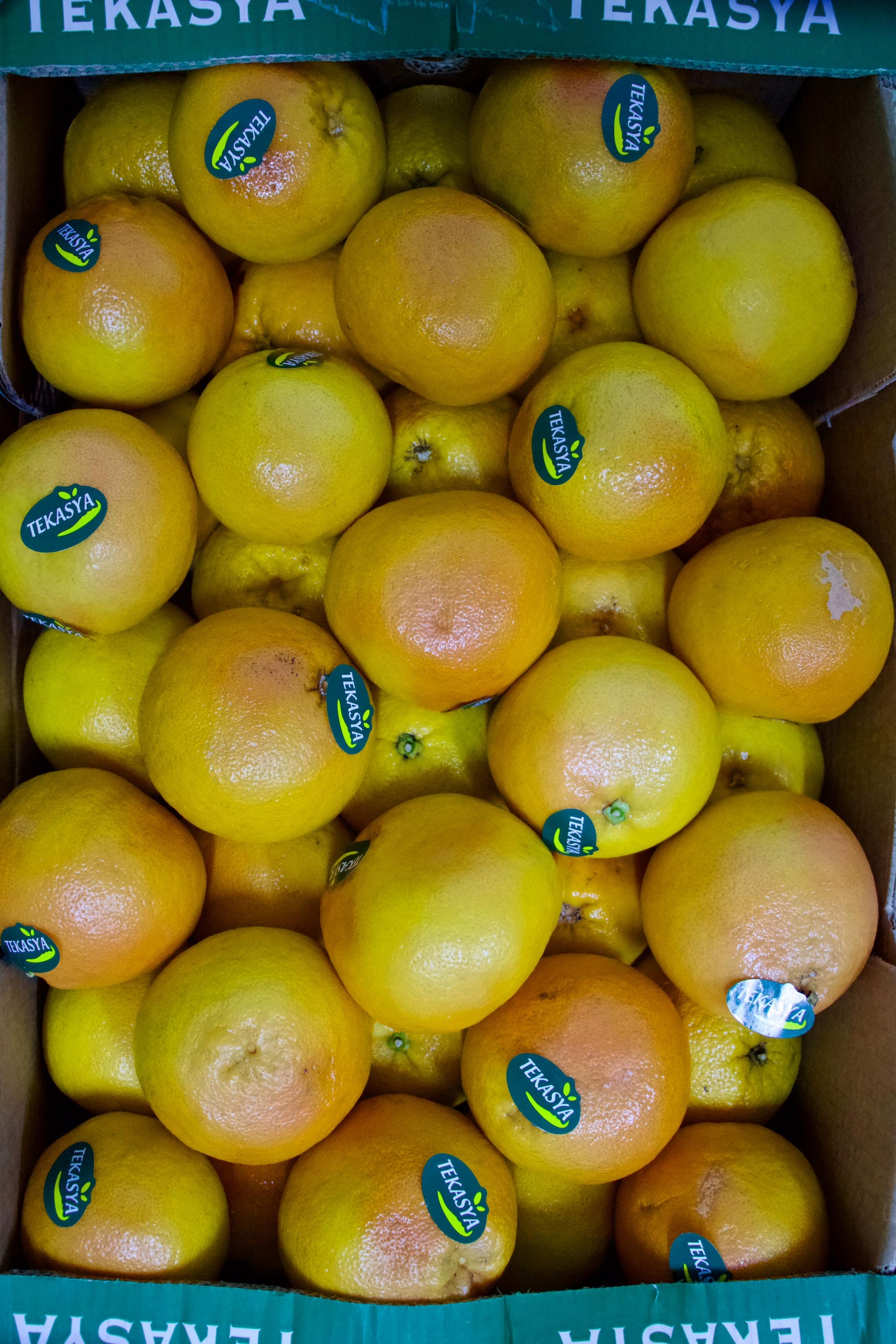 Grapefruit 15kg جريب فروت