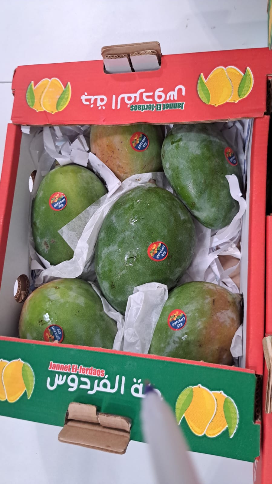 (Mango) Noumi/ Egypt box مانجو مصري