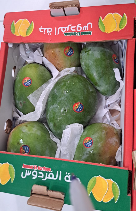 (Mango) Keeth/ Egypt مانجو كيث/ مصري
