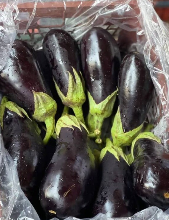 Eggplant/ Iran box 7kg باذنجان ايراني كرتون