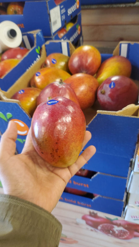 Mango Africa 1kg مانجو افريقي