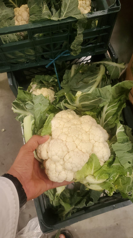 Cauliflower/ Iran 5kg قرنبيط (زهرة) ايراني