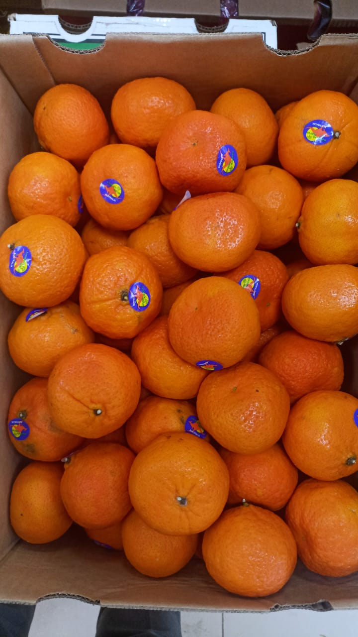 Mandarin (Australia) BOX 15kg سنترة استرالي