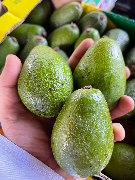 Avocado Uganda box 10kg افوكادو اوغندا كرتون