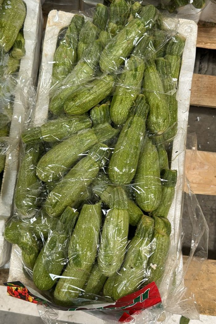 zucchini/ Jordan Box 4.5kg كوسه اردني