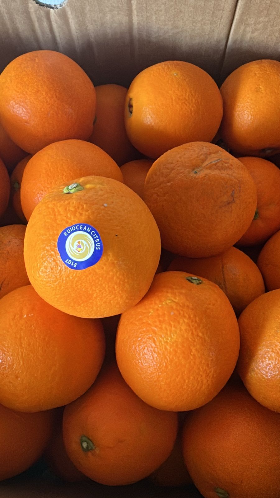 Orange AbuSurah/ China 0.5kg برتقال ابوصره نافال صيني