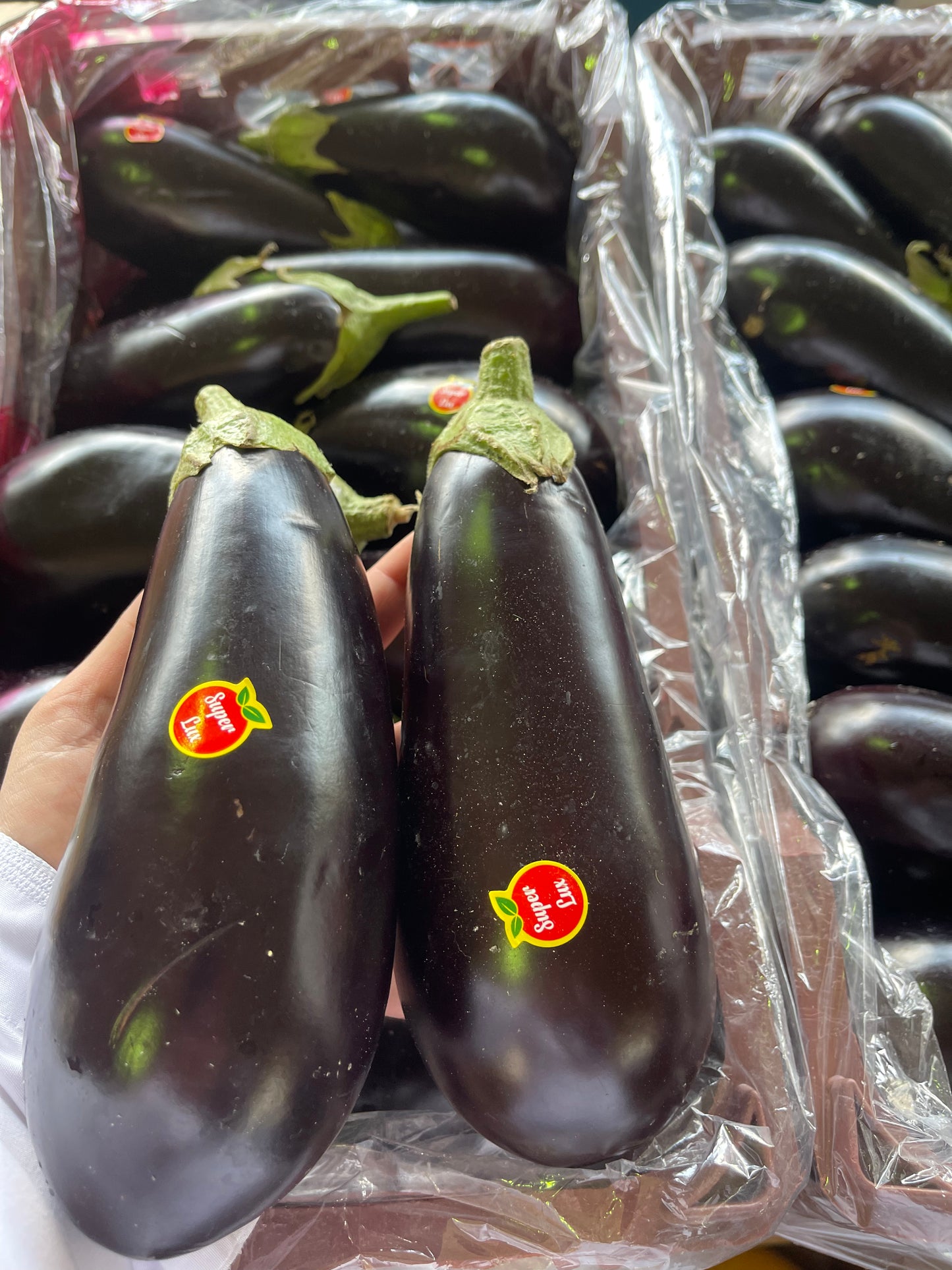 Eggplant/ Iran 0.5kg باذنجان ايراني