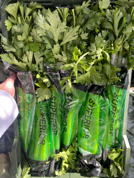 Celery/ Iran  كرفس إيراني ربطة