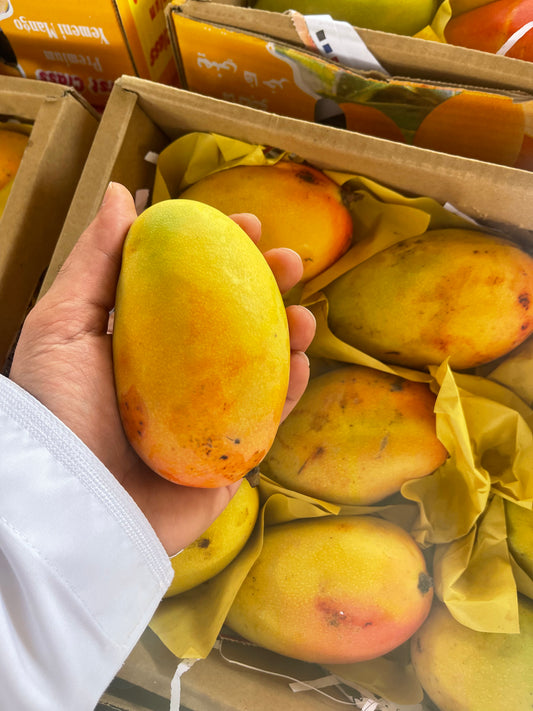 Mango/Yemen Taymoor 0.5kg مانجو\ يمني تيمور
