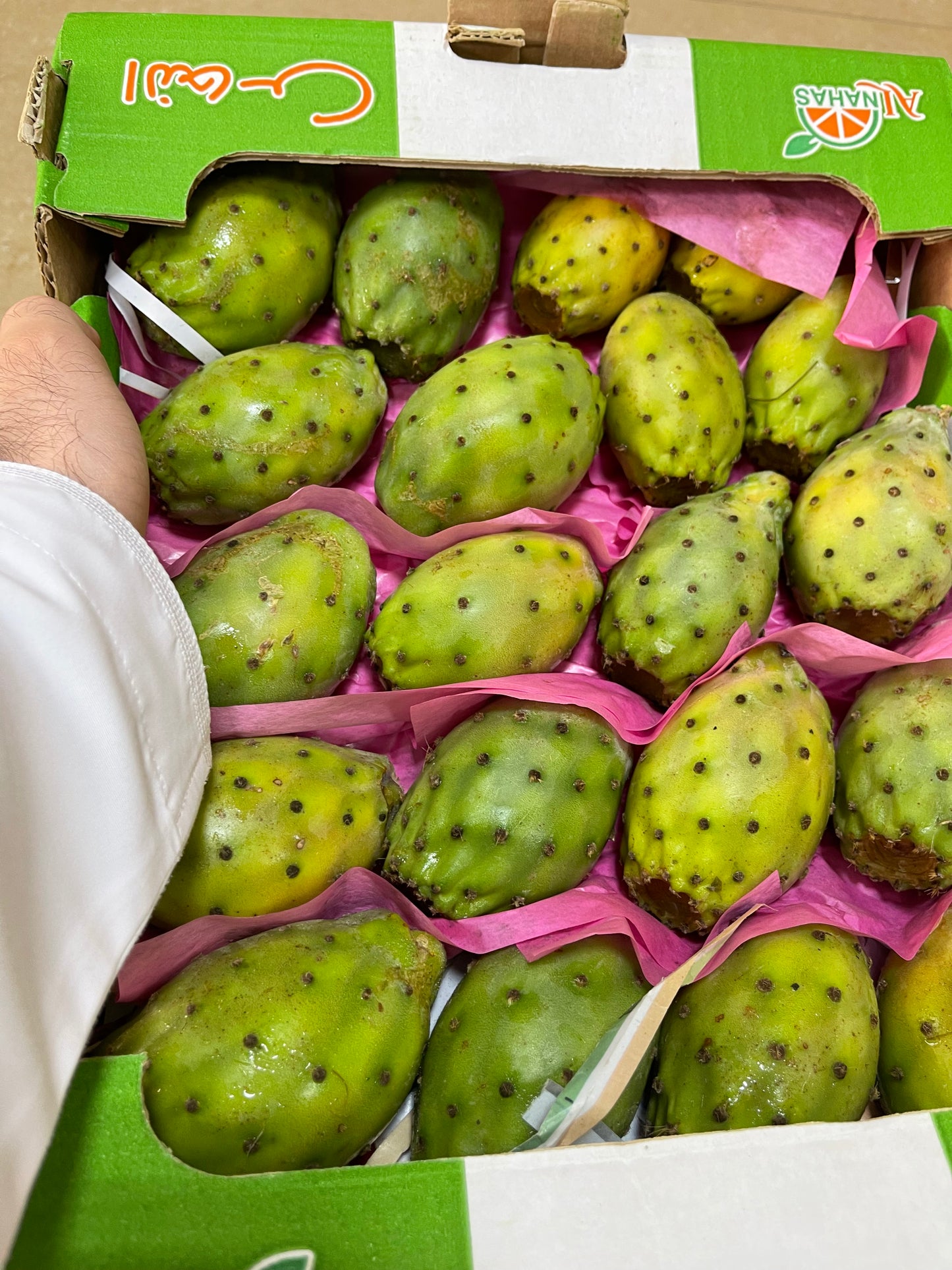 ((Barbary Fig)) سلة تين شوكي