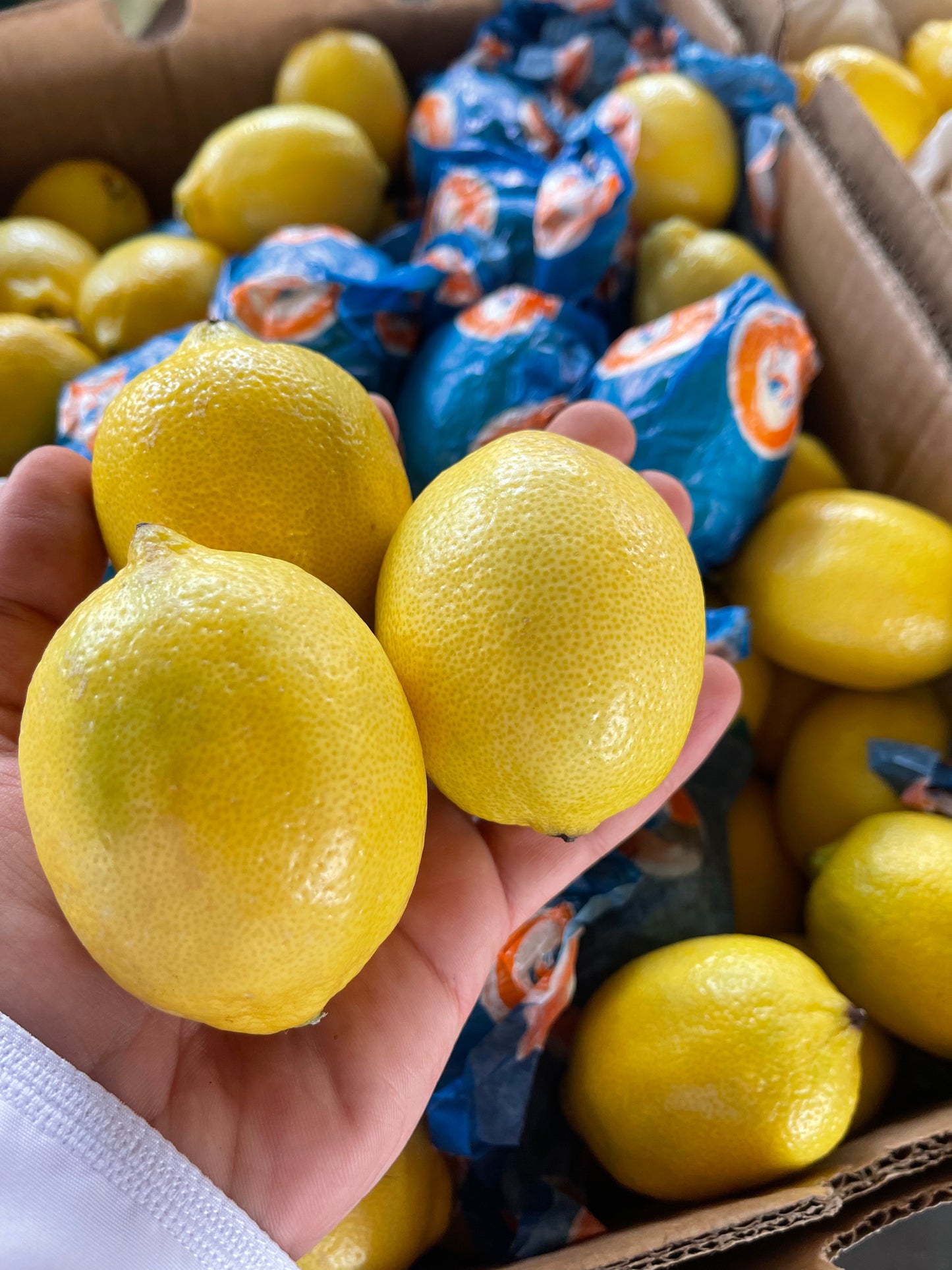 Lemon 0.5kg ليمون