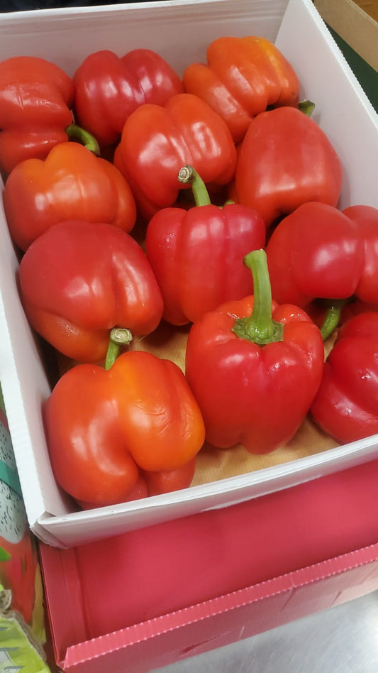 Bell Pepper Red 4.5kg فلفل رومي احمر