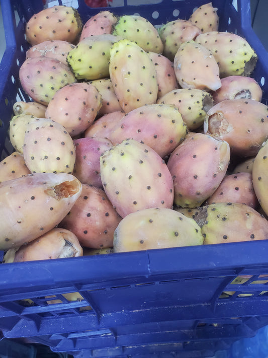 ((Barbary Fig)) 1kg تين شوكي