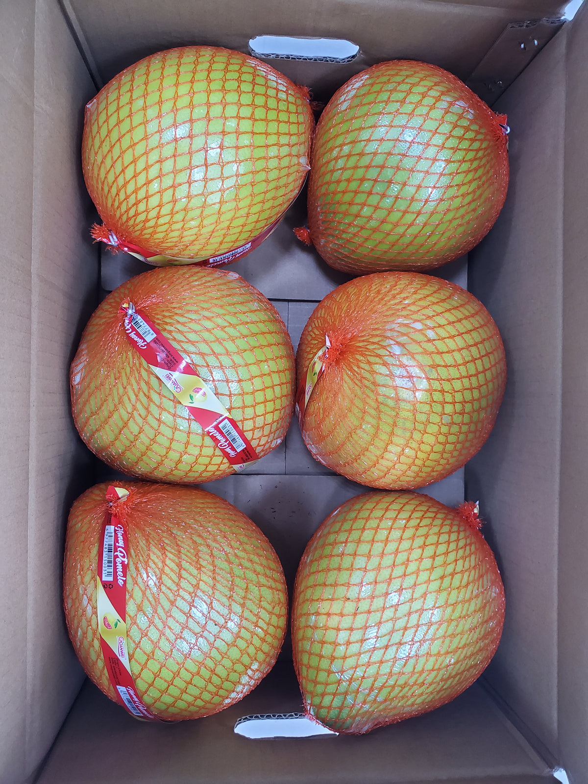 Pomello China 1PC بومالي صيني حبة