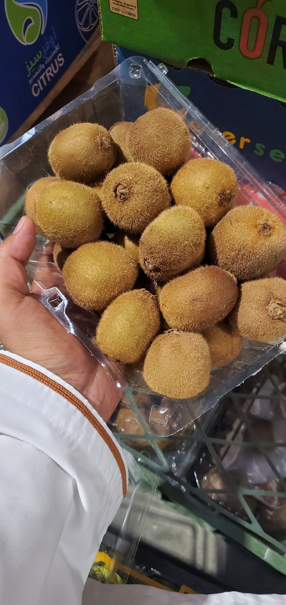 Kiwi/ Iran (1*6) كيوي ايراني