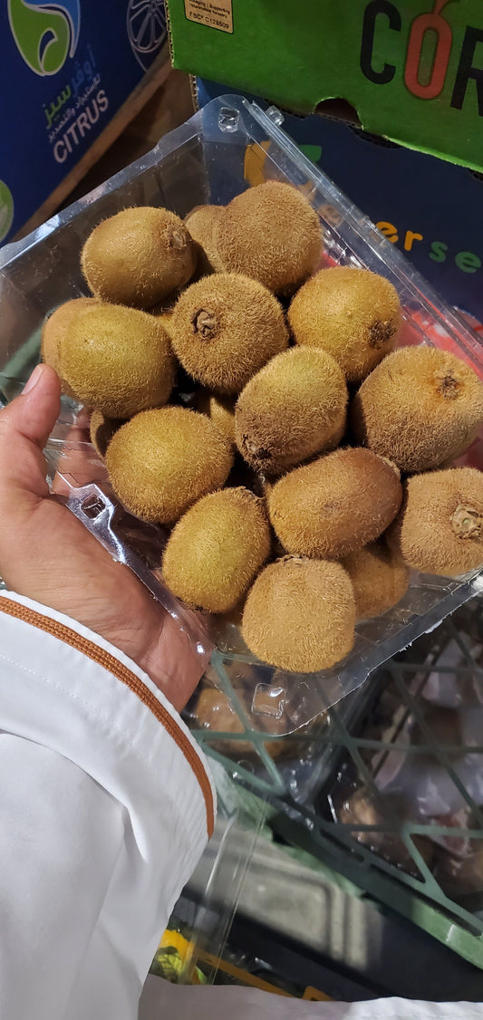 Kiwi/ Iran (1*6) كيوي ايراني