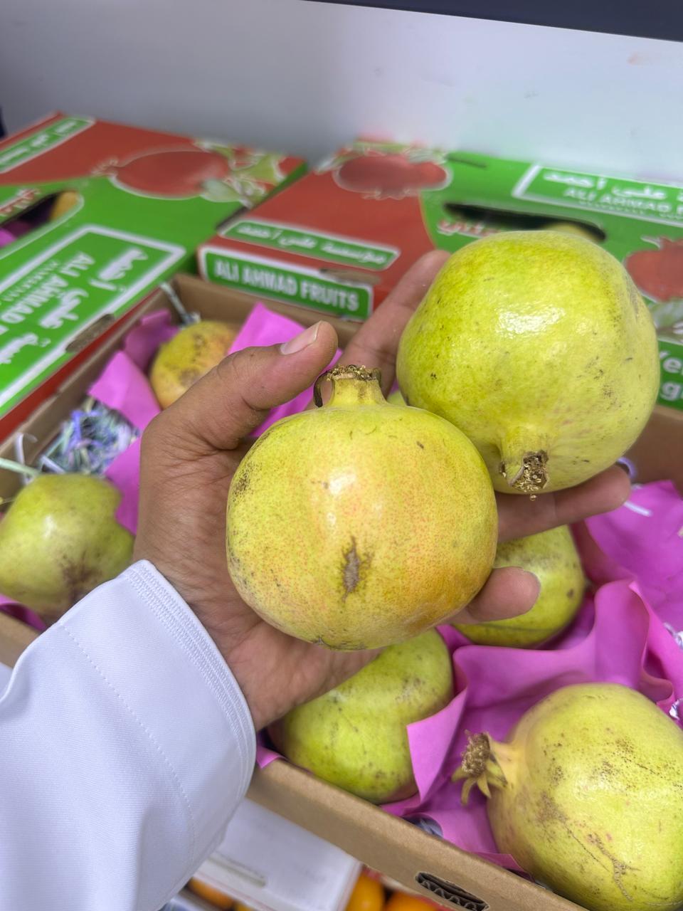 Big Pomegranate/ Yemen 2.5kg رمان يمني