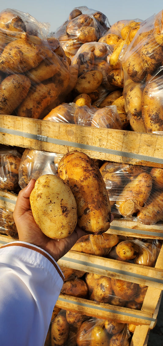 Potato/ Syria 2.5-3kg بطاطا سوري