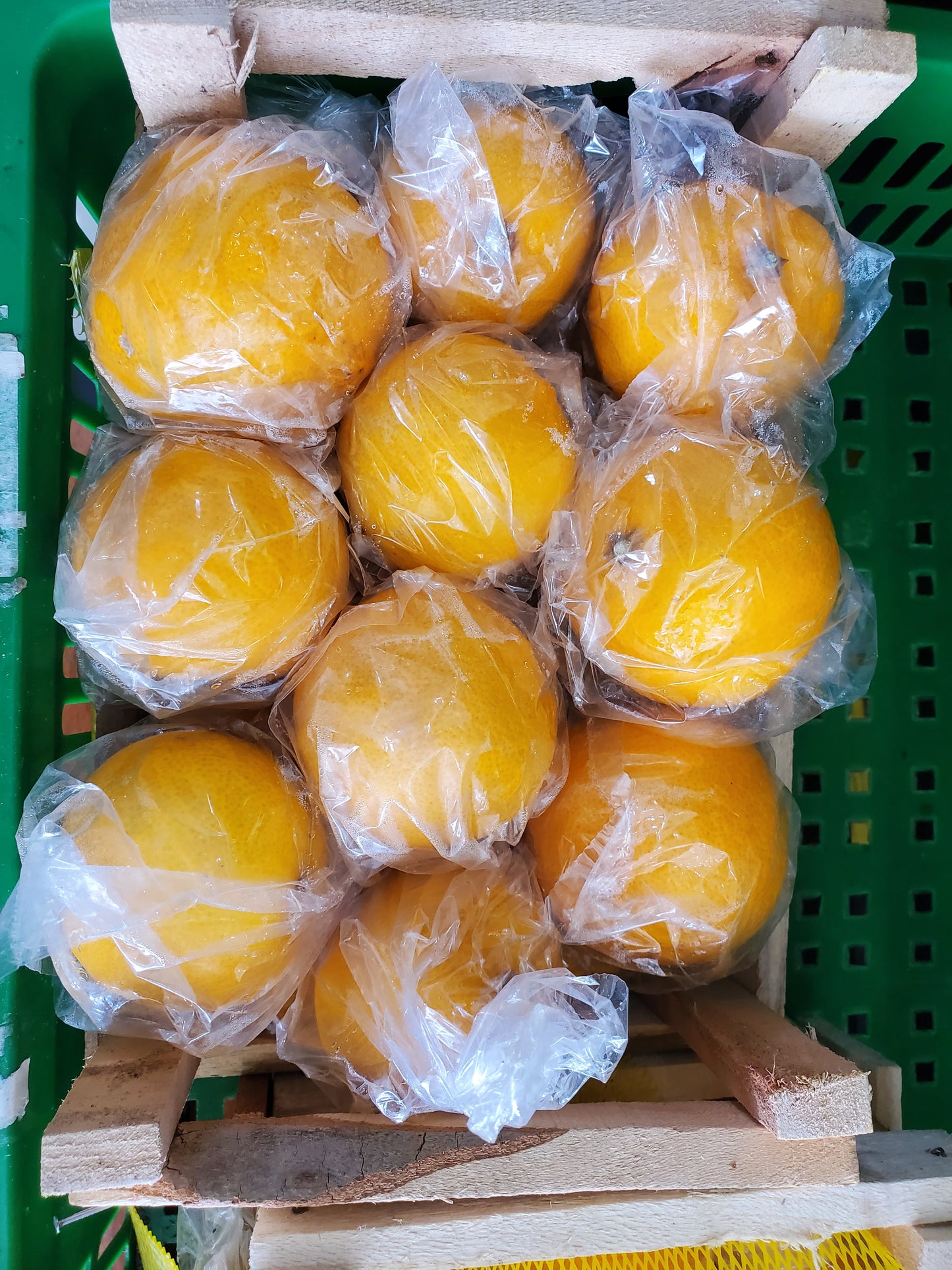 Citrus limettioides/ Iran 2kg سفرجل ايراني