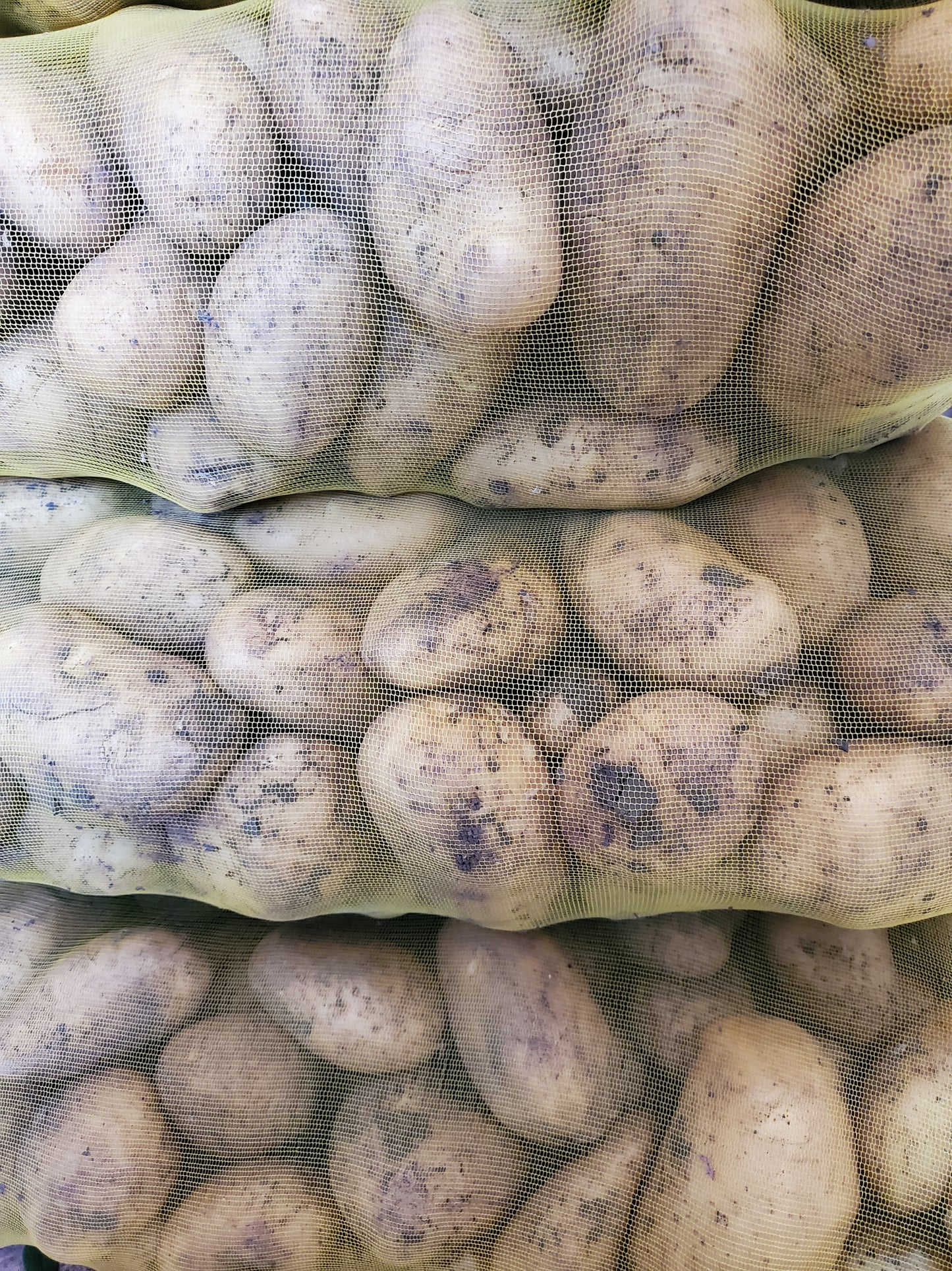Potato/ Egypt 20kg بطاطا مصري