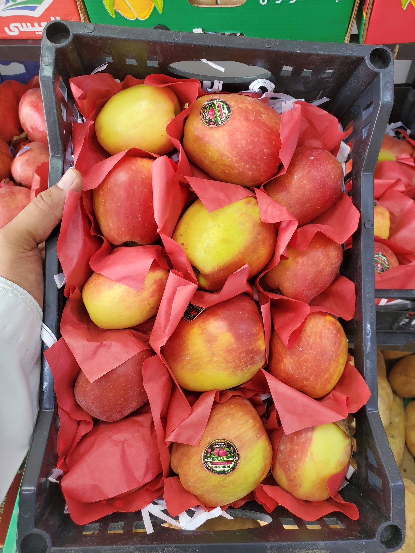 Yemeni red apples / تفاح احمر يمني سله